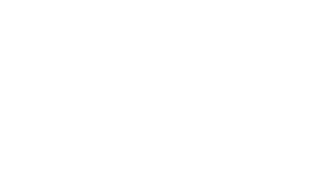 Nizi Store